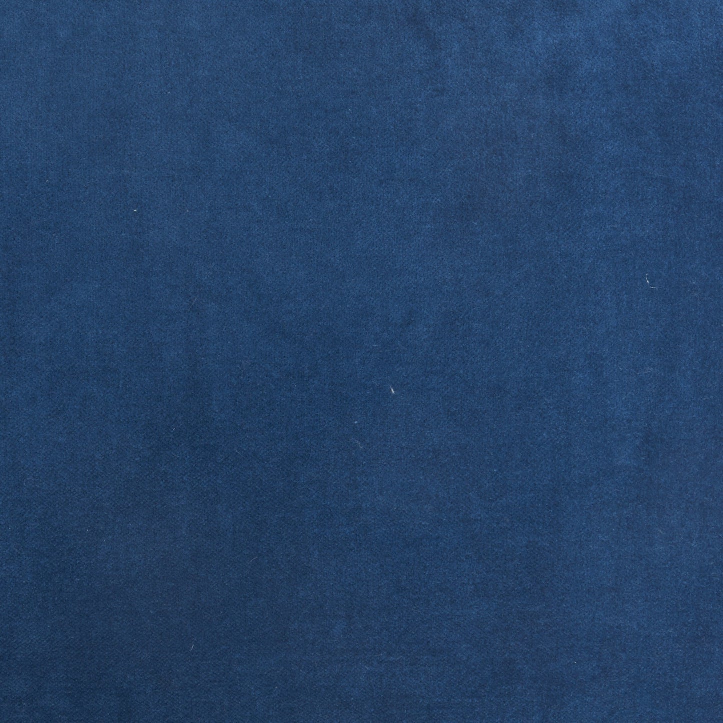 14" X 20" Navy Blue Cotton Throw Pillow FurniFindUSA