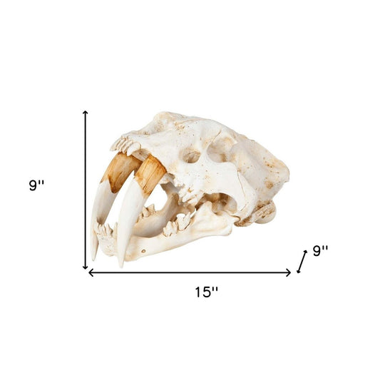 Authentic Replica Sabertooth Skull Sculpture HomeRoots