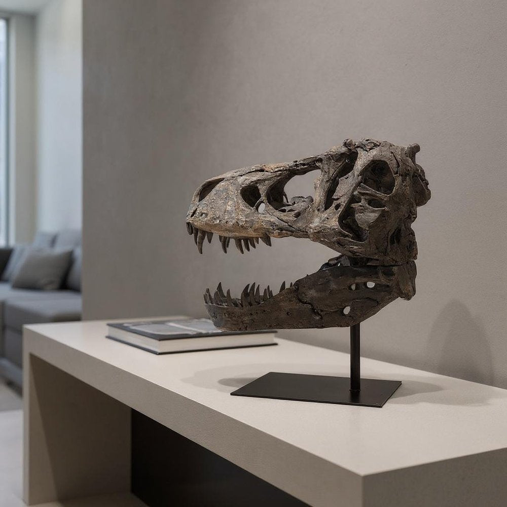 Authentic Replica T Rex Skull Sculpture HomeRoots