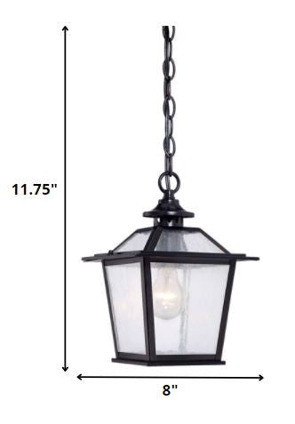 Matte Black Terrarium Shape Hanging Light HomeRoots
