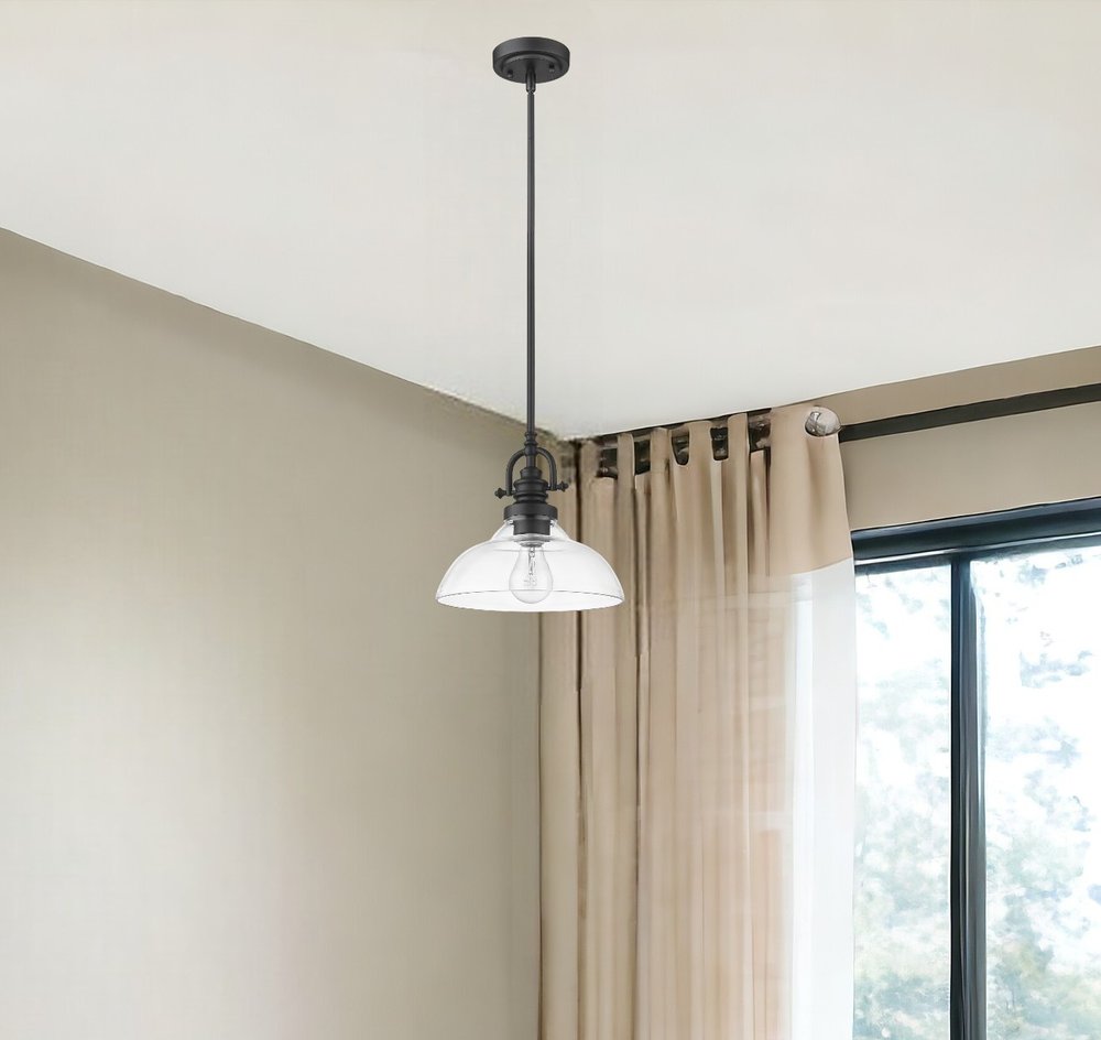 Matte Black Hanging Light with Glass Dome Shade HomeRoots