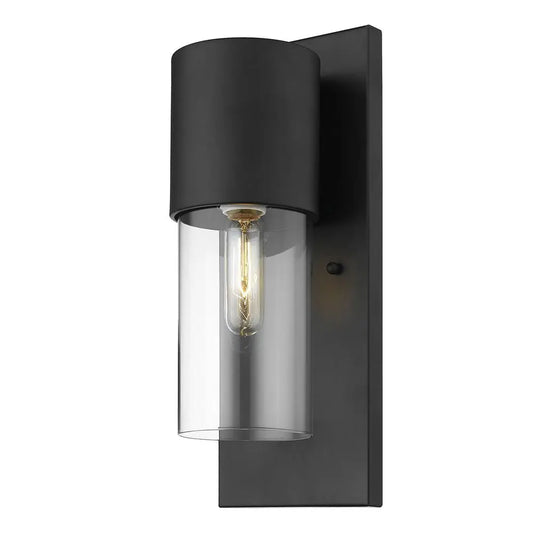 Contemporary Matte Black and Glass Wall Light HomeRoots