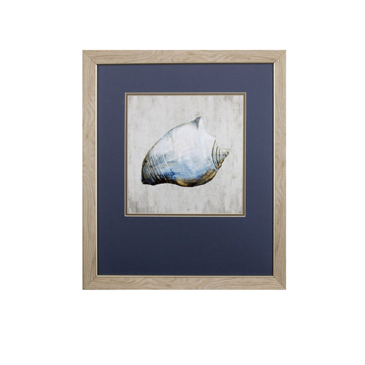 Set of Two Ocean Seashells Wall Art