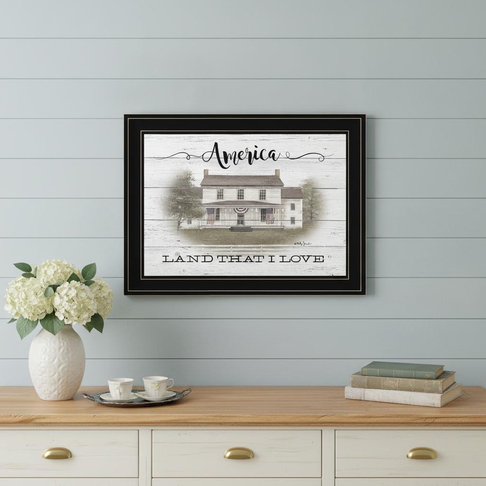 America 2 Black Framed Print Wall Art HomeRoots