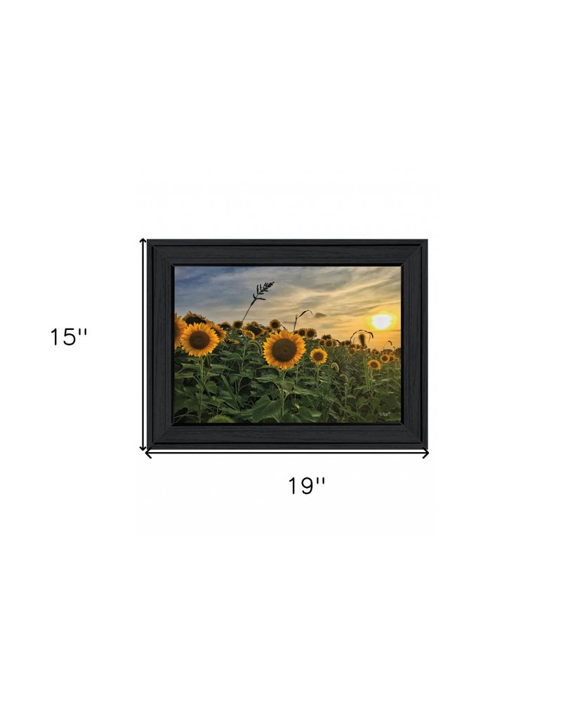 Midwest Livin I 1 White Framed Print Wall Art HomeRoots