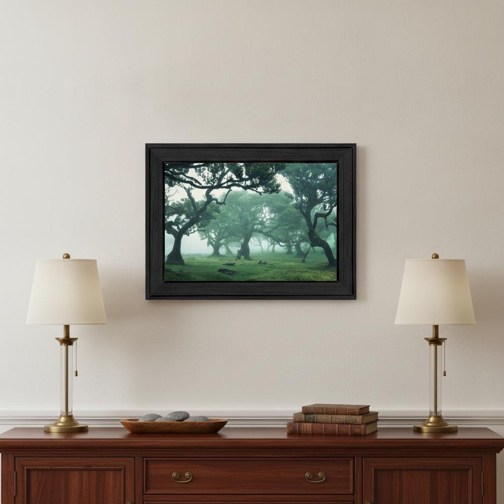 Enchanted Forest II 3 Black Framed Print Wall Art HomeRoots