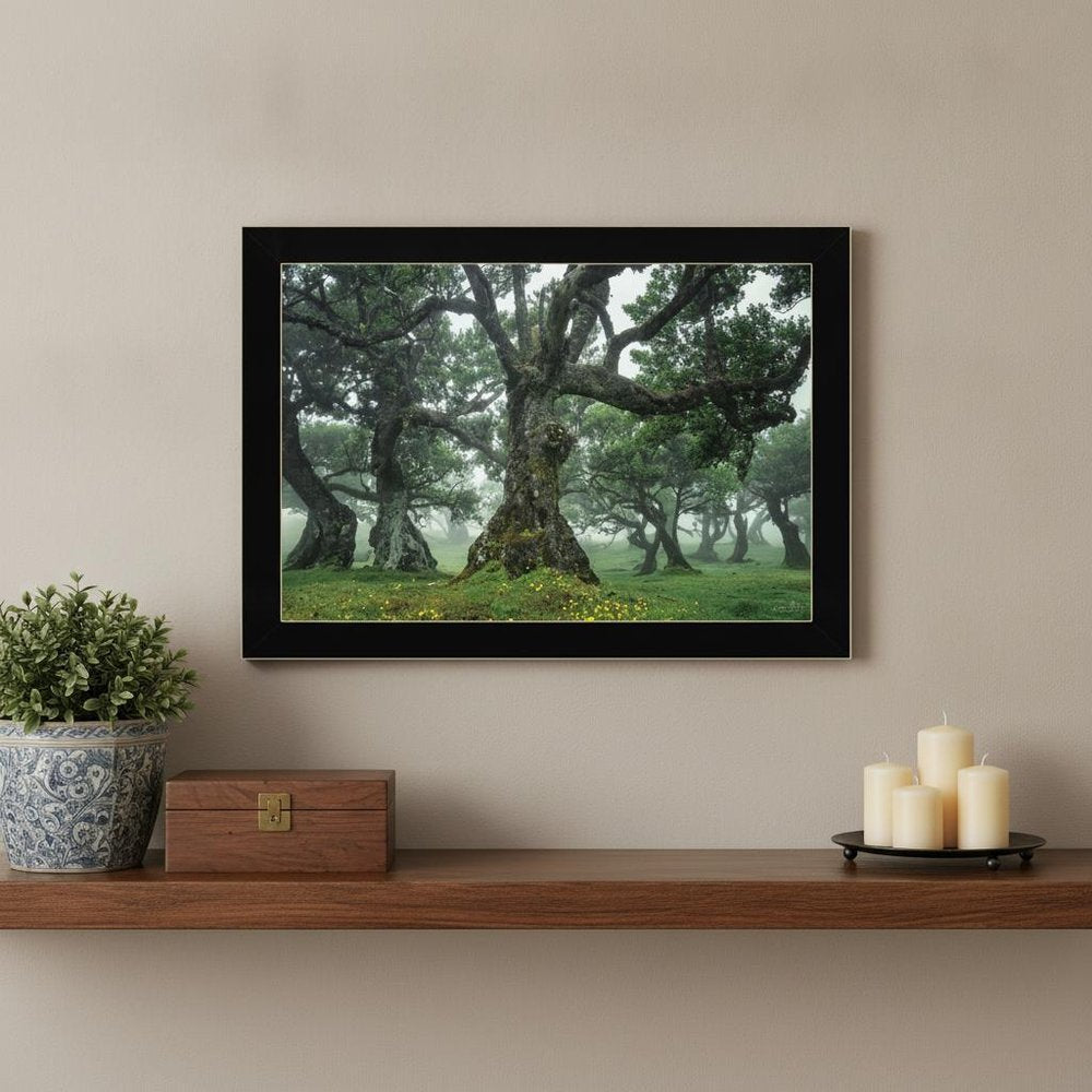 Enchanted Forest I 1 Black Framed Print Wall Art HomeRoots