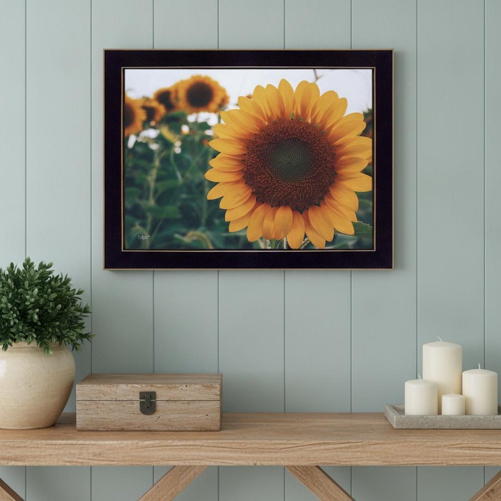 Midwest Livin II 1 Black Framed Print Wall Art HomeRoots