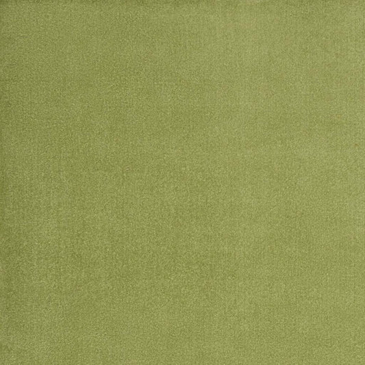 10' X 14' Green Indoor Outdoor Area Rug