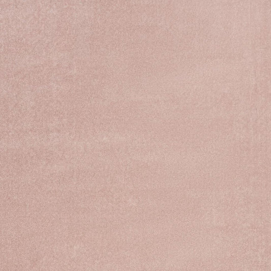 4' X 6' Pink Indoor Outdoor Area Rug