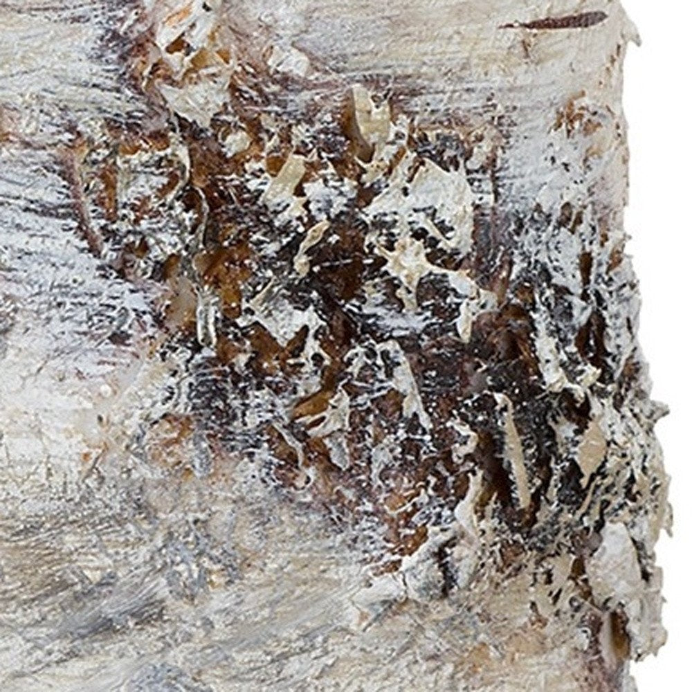 Set of Two Beige and Ivory Faux Birchwood Flameless Pillar Candle HomeRoots