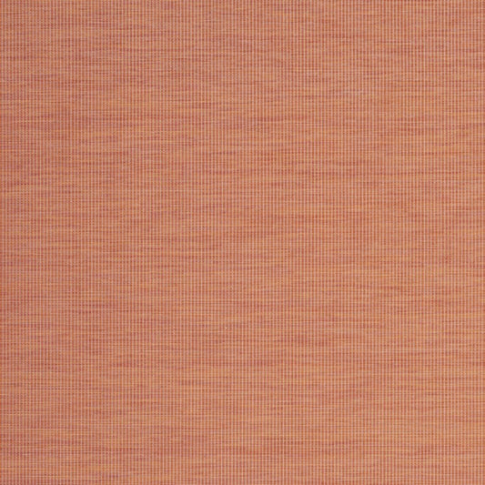 8' X 10' Terra Cotta Indoor Outdoor Area Rug