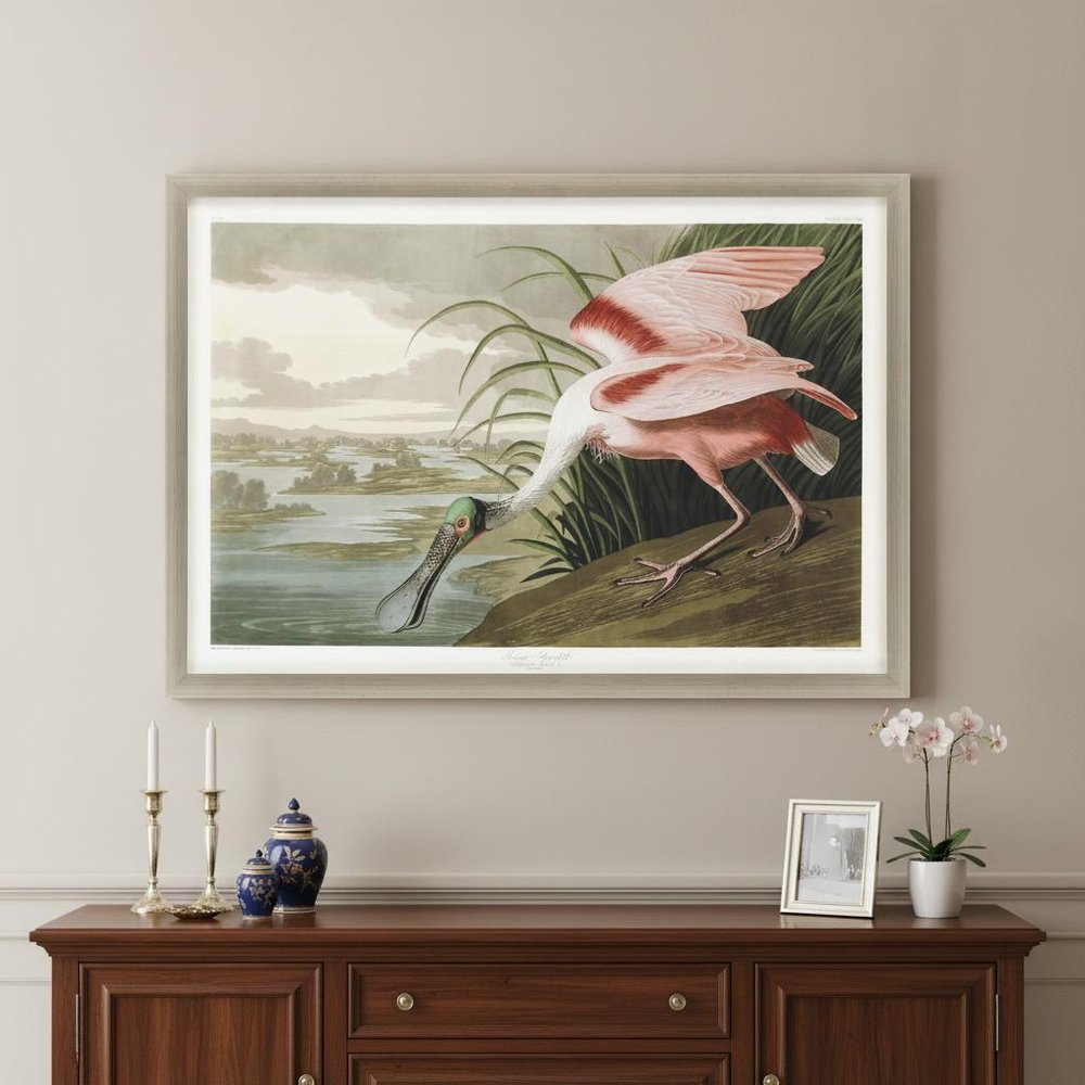 Roseate Spoonbill Silver Framed Print Wall Art HomeRoots