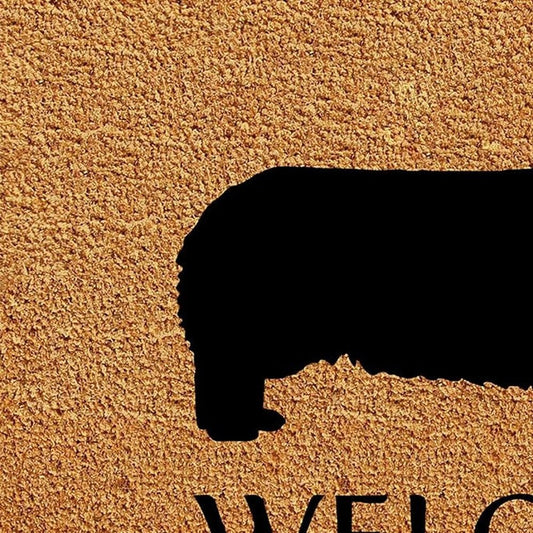 17" X 29" Natural and Black Coir Dachshund Welcome Outdoor Door Mat HomeRoots