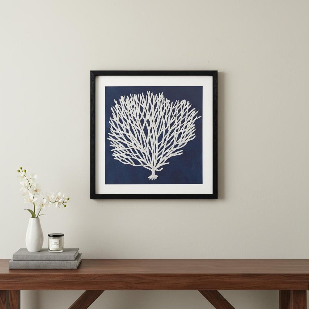 Sea Fan I Black Shadowbox Textual Art Wall Art HomeRoots
