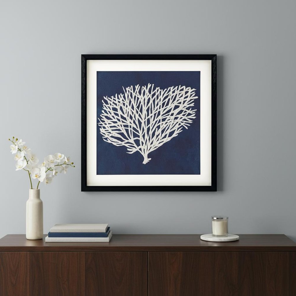 Sea Fan II Black Shadowbox Textual Art Wall Art HomeRoots