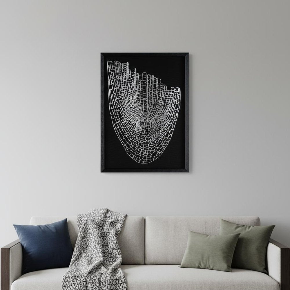 Wild Badlands Black Shadowbox Textual Art Wall Art HomeRoots