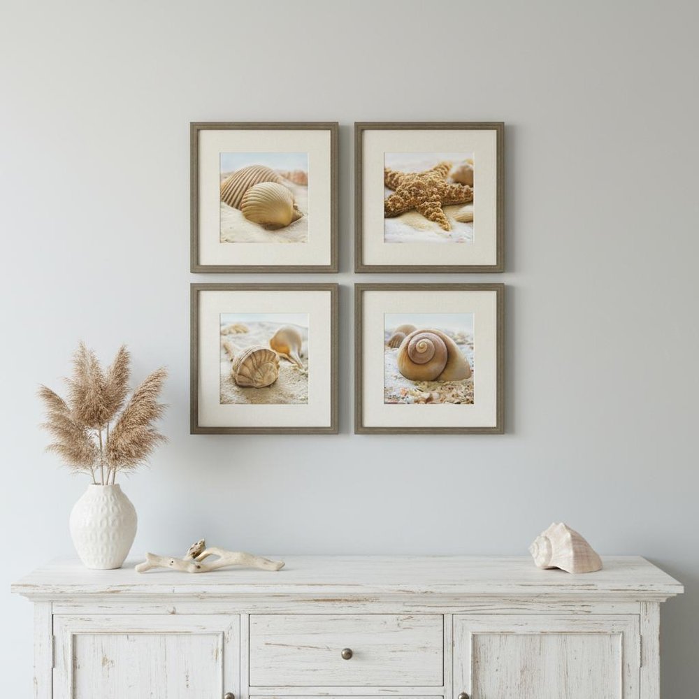 Set Of Four Beachy Shells Brown Framed Wall Art HomeRoots