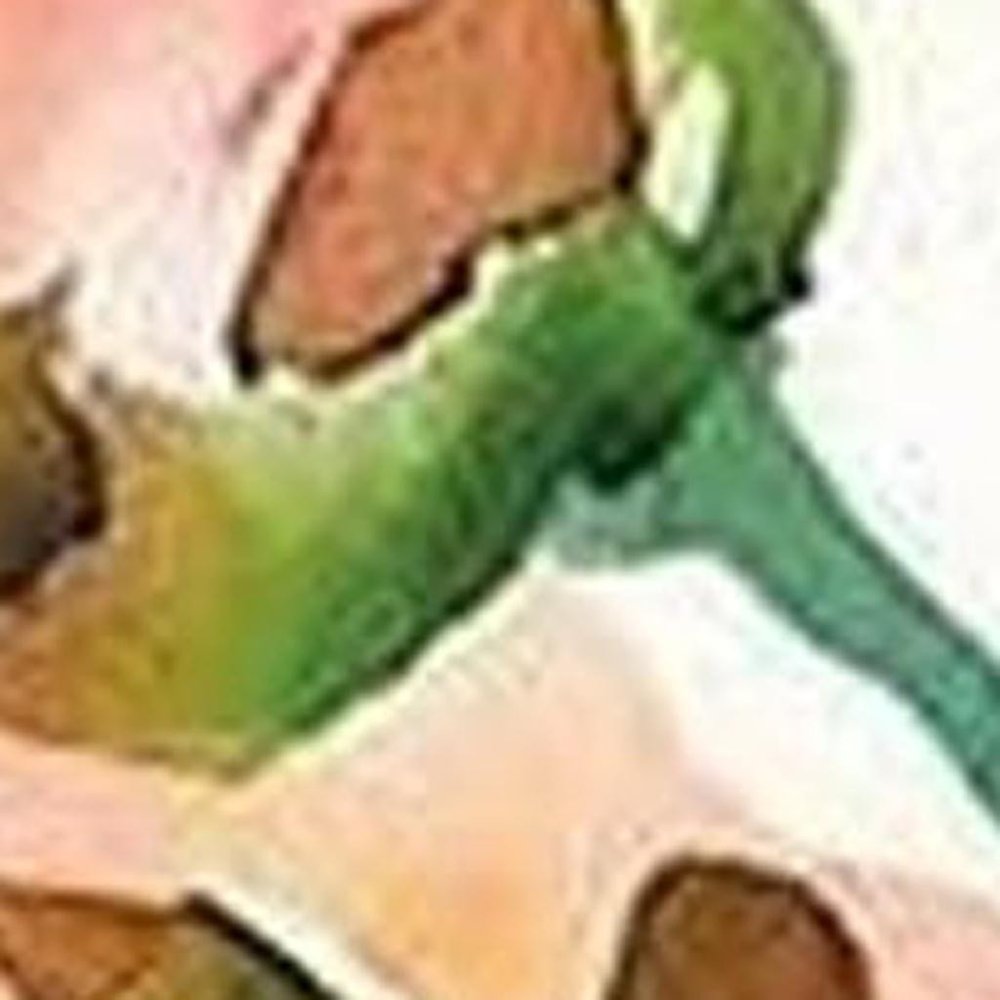 36" White Red And Green Geranium Solid Wood Porch Sign HomeRoots