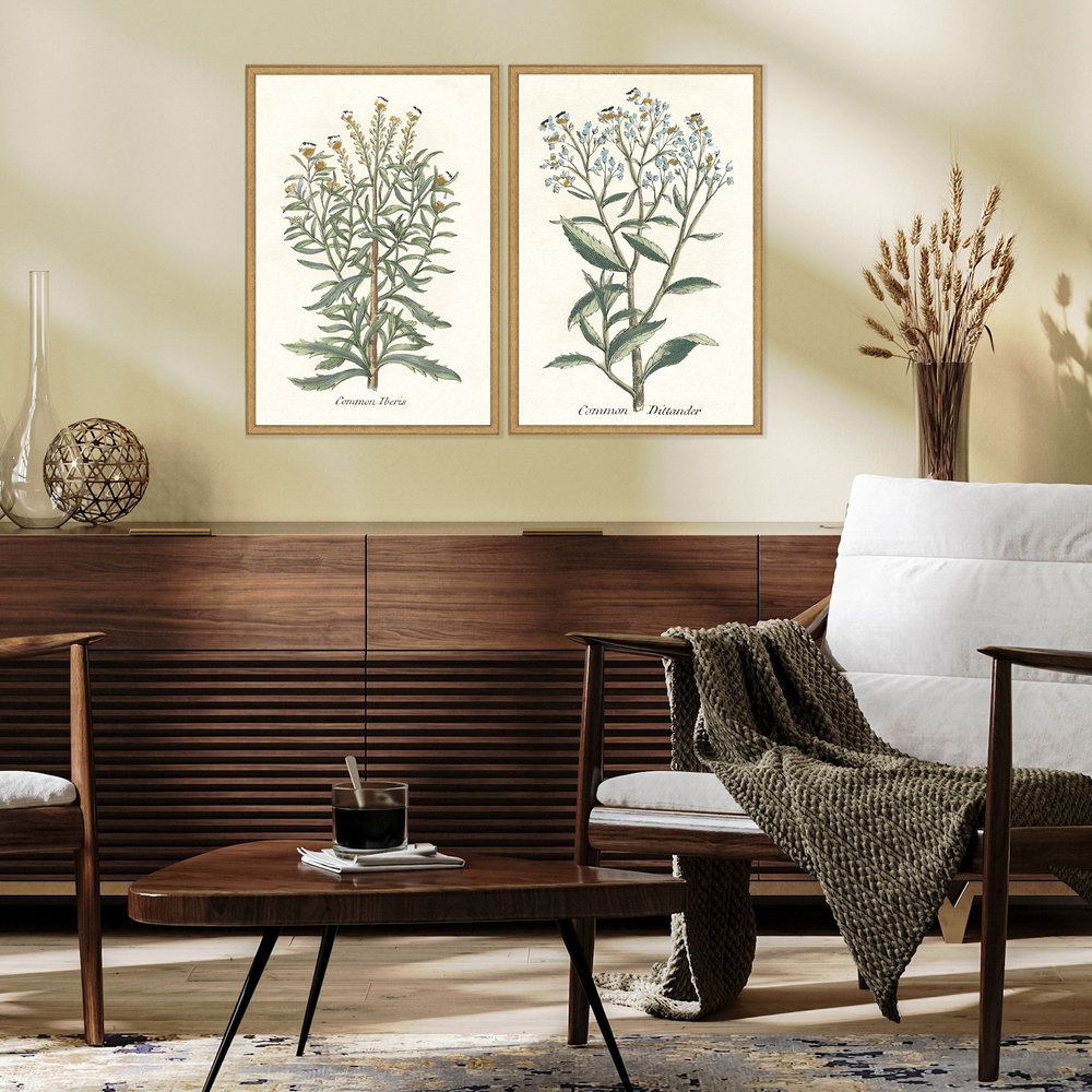 Set Of Two Botanical Plants I Gold Framed Wall Art HomeRoots