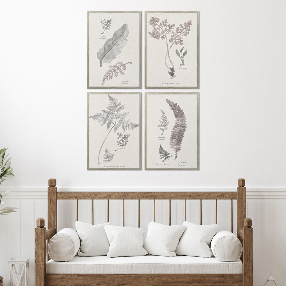 Set Of Four Fern Study Silver Framed Wall Art HomeRoots