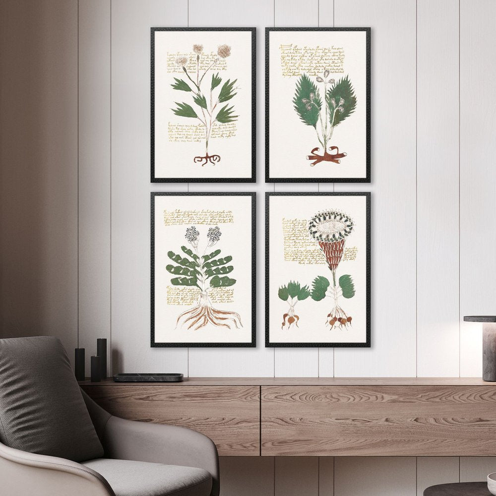Set Of Four Magical Botany Black Framed Wall Art HomeRoots