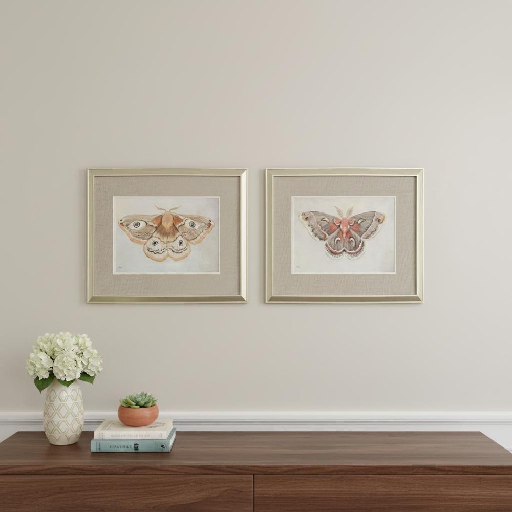 Set Of Two Forest Moth Gold Framed Wall Art HomeRoots