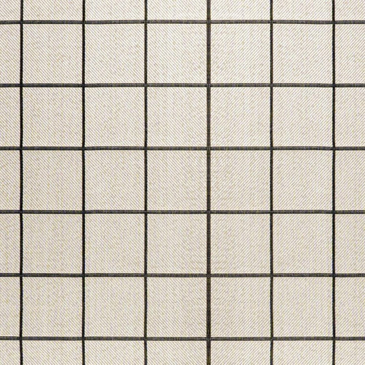 4' X 6' Cream And Dark Gray Plaid Indoor Outdoor Area Rug