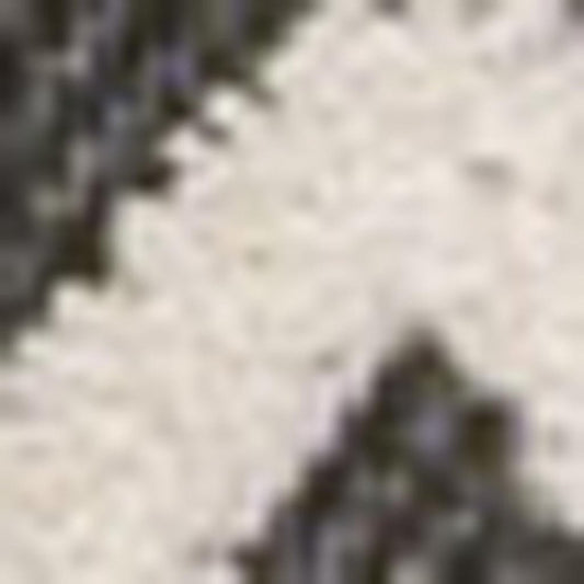 3' X 5' Cream And Black Trellis Indoor Outdoor Area Rug