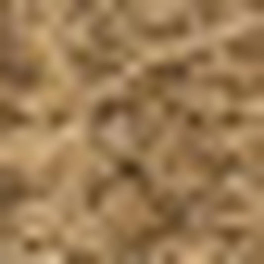 5' X 8' Light Brown Indoor Outdoor Area Rug