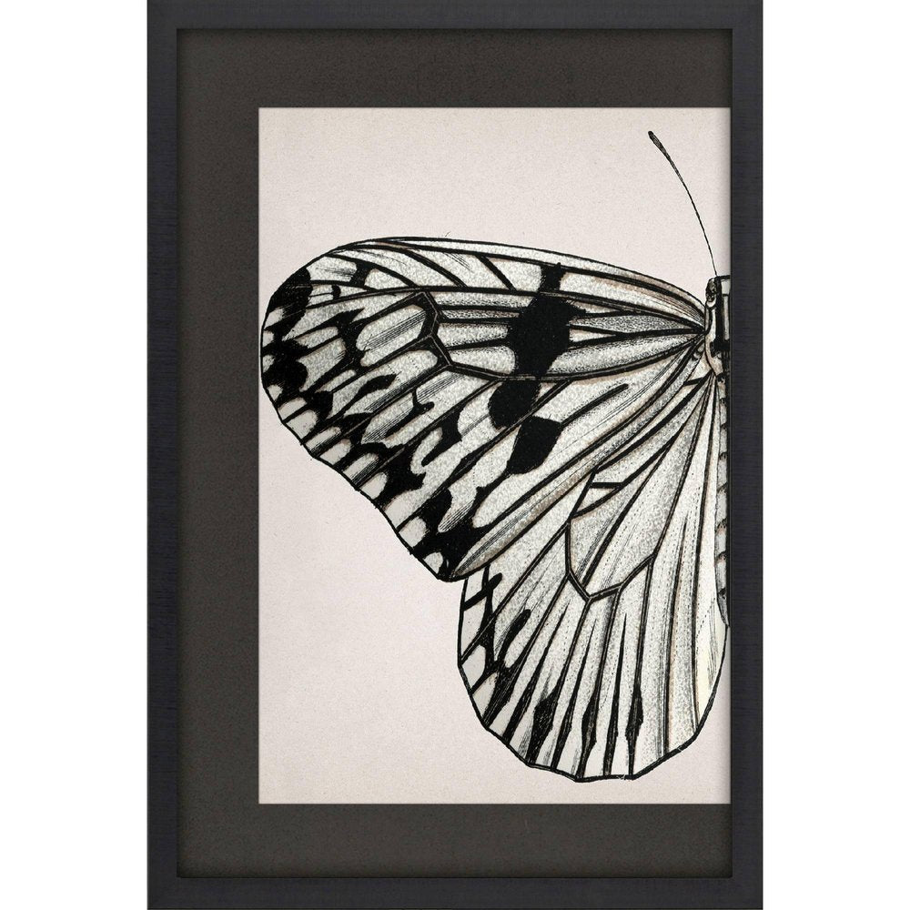 Grand Butterfly I Black Framed Wall Art HomeRoots
