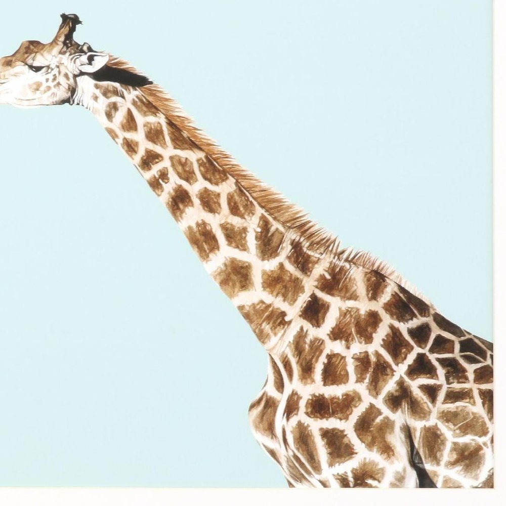 Giraffe Pop White Framed Wall Art HomeRoots