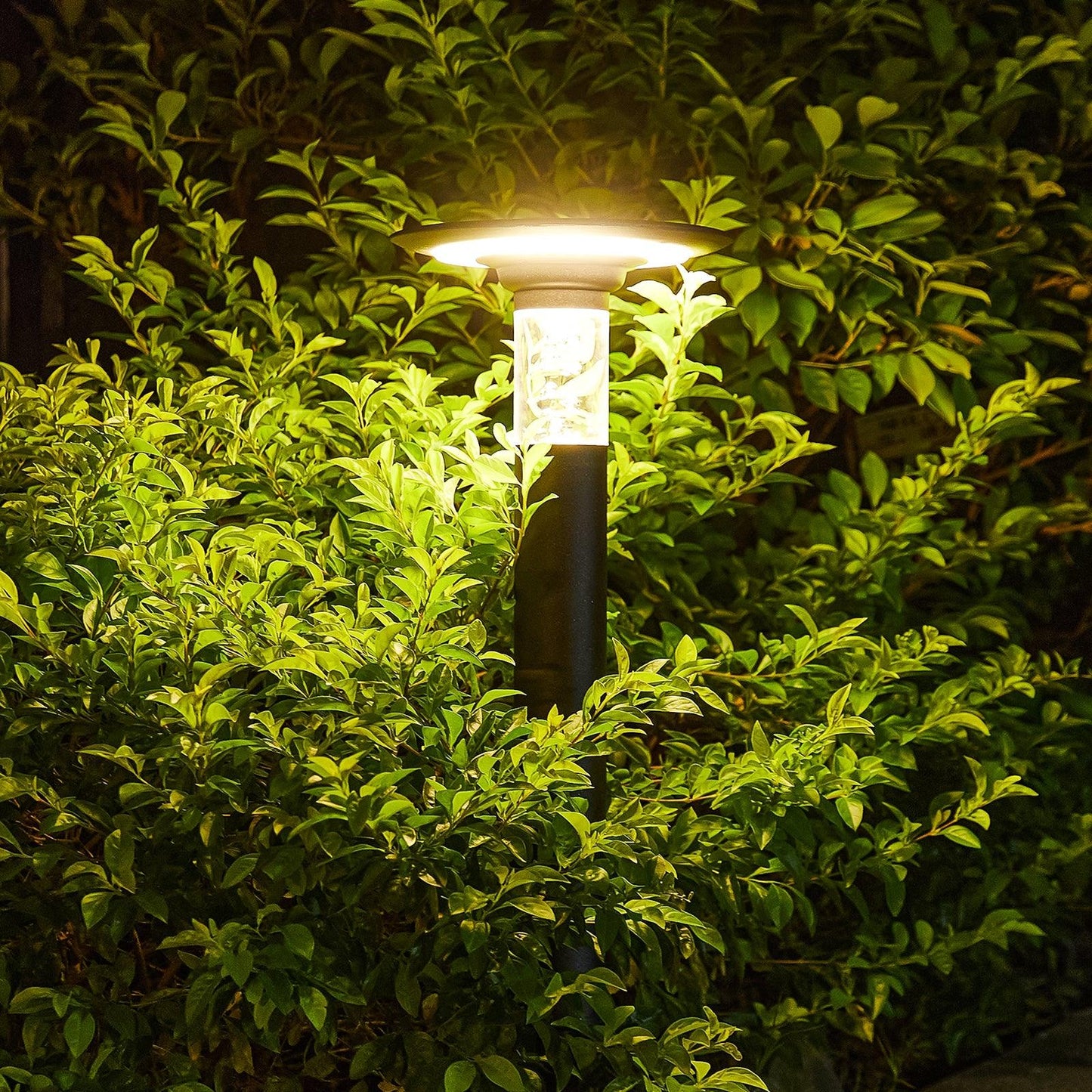 Solar Lawn Light With Dimmable LED - FurniFindUSA
