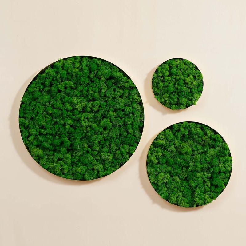 Round Framed Moss Wall Decor, only the Large - FurniFindUSA