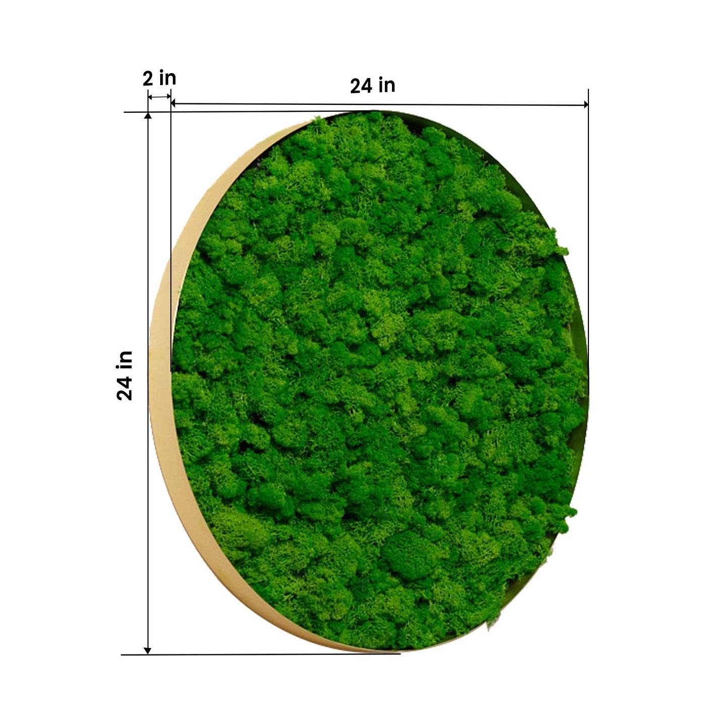 Round Framed Moss Wall Decor, only the Large - FurniFindUSA