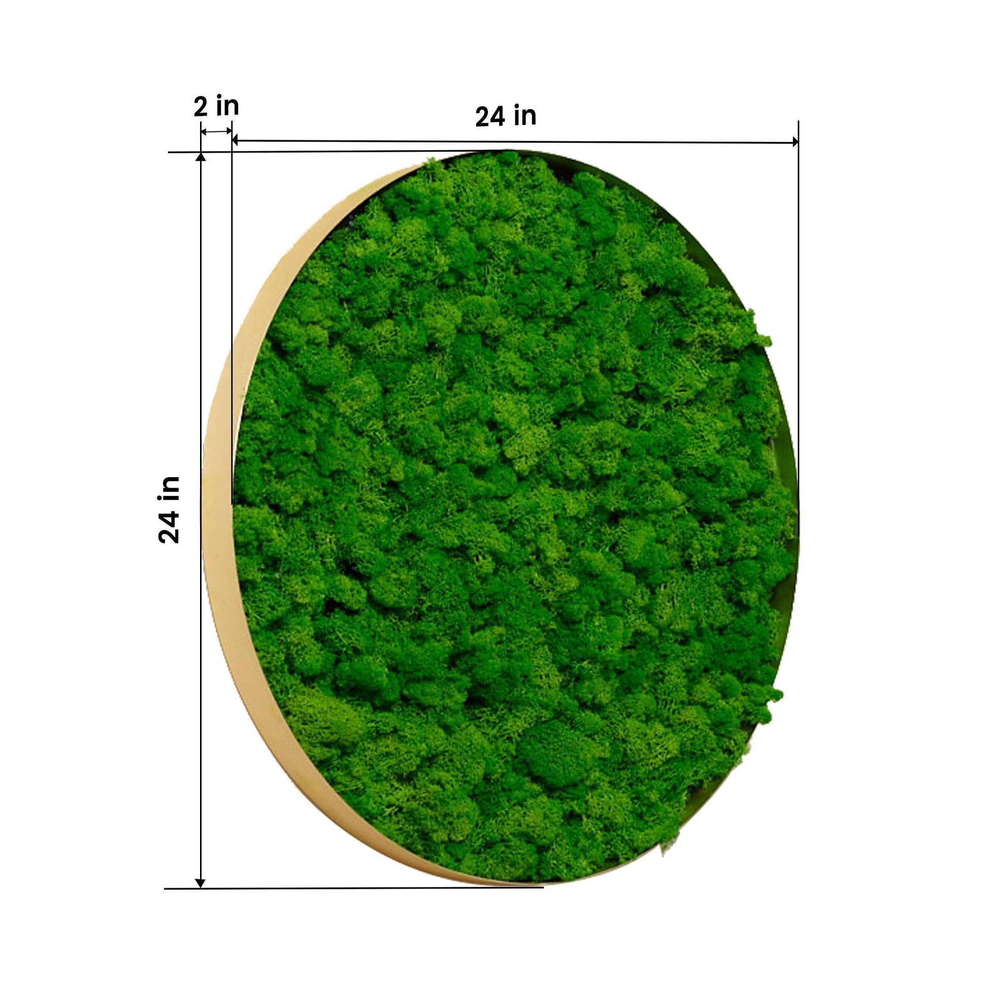 Round Framed Moss Wall Decor, only the Large - FurniFindUSA