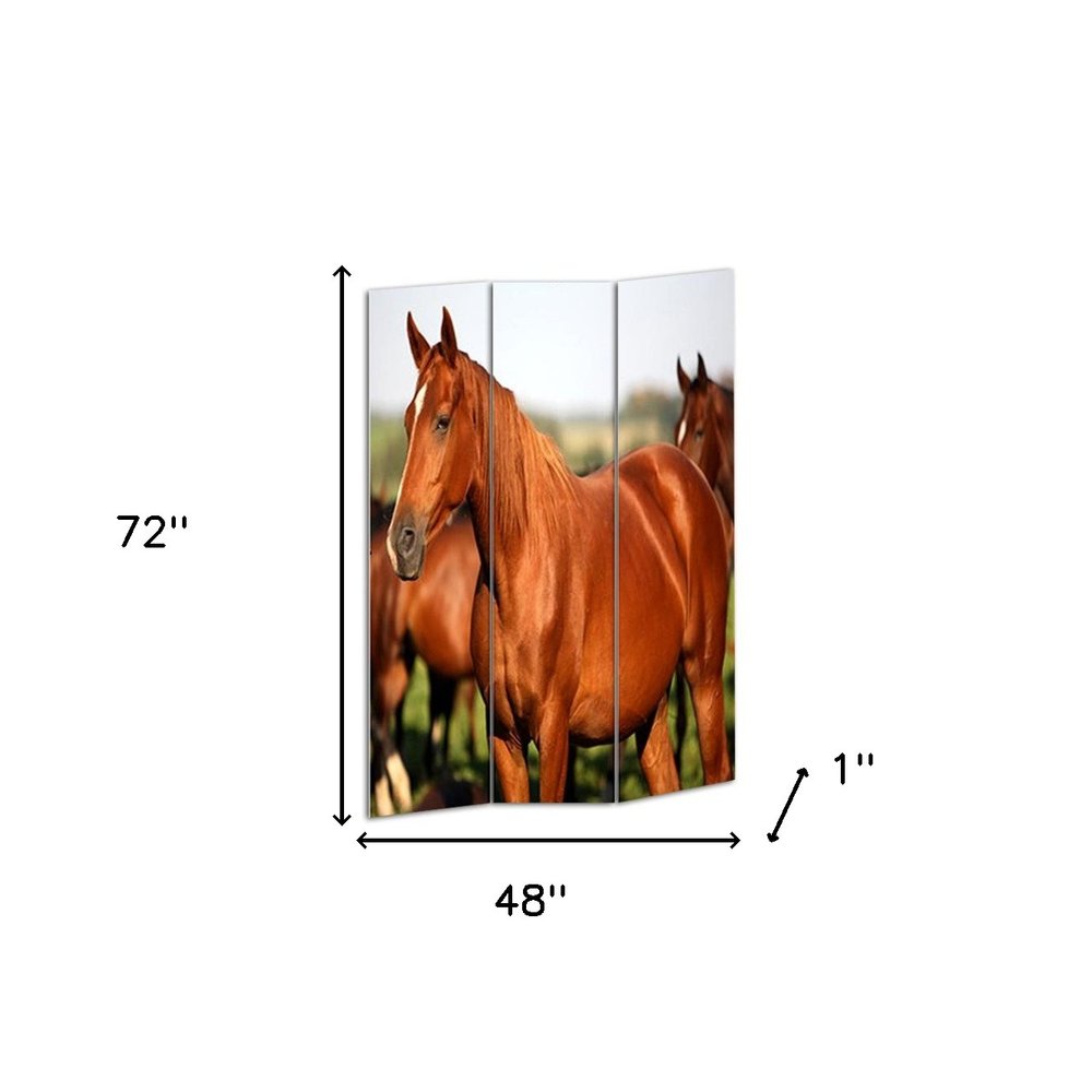 72" Brown And White Canvas Folding Three Panel Screen Room Divider HomeRoots
