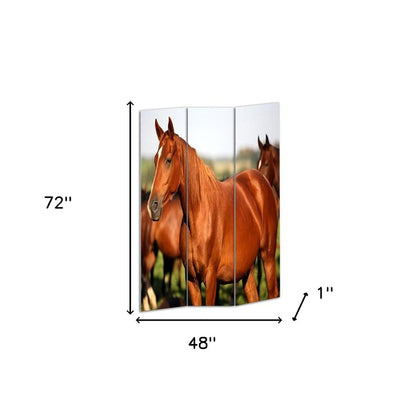 72" Brown And White Canvas Folding Three Panel Screen Room Divider HomeRoots
