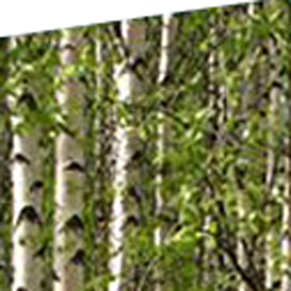 84" Green Canvas Folding Four Panel Screen Room Divider HomeRoots