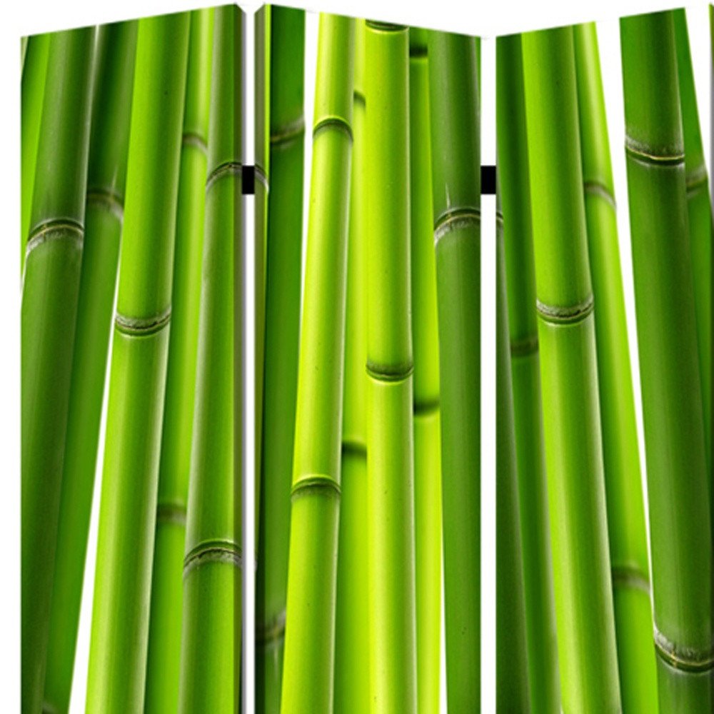 72" Green Canvas Folding Three Panel Screen Room Divider HomeRoots