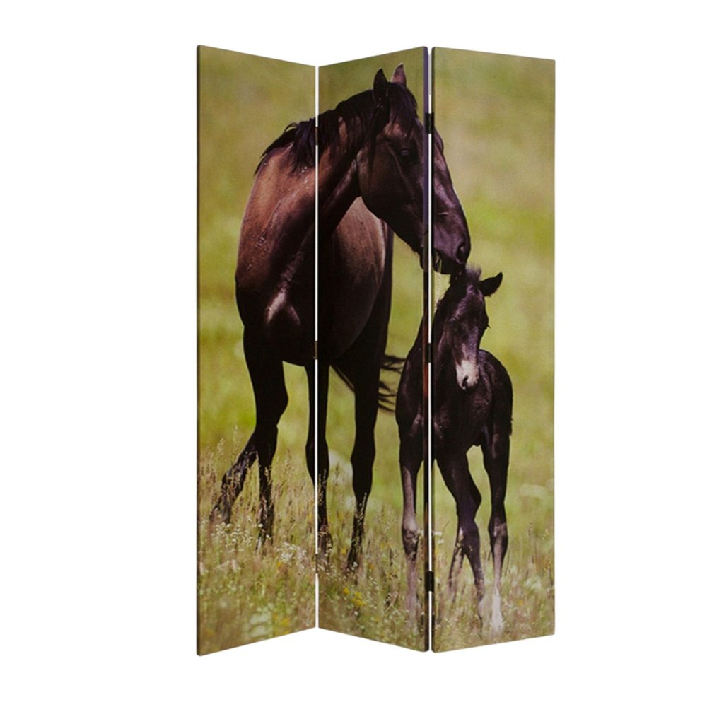 72" Brown Canvas Folding Three Panel Screen Room Divider HomeRoots