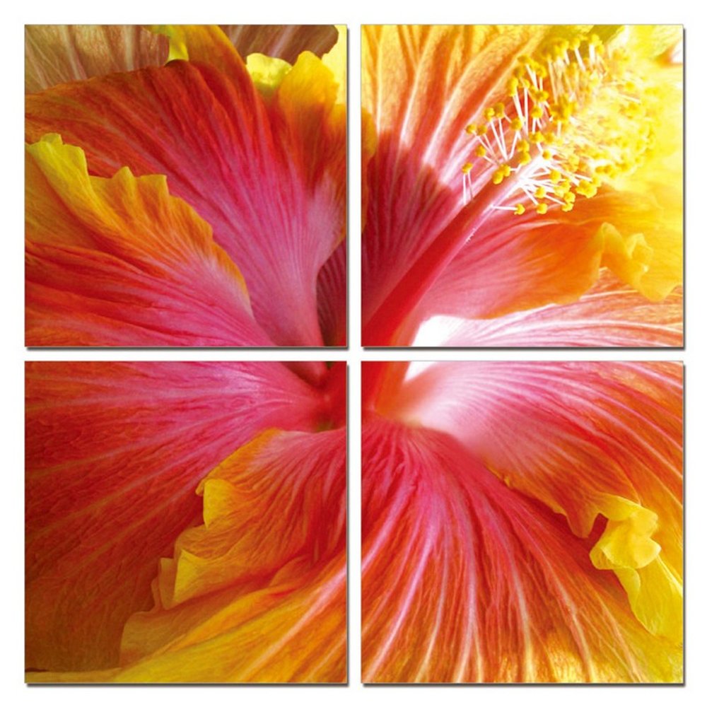Set Of Four Print Wall Art — view 1