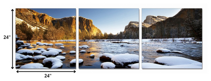 24" Canvas 3 Panels Color Photo