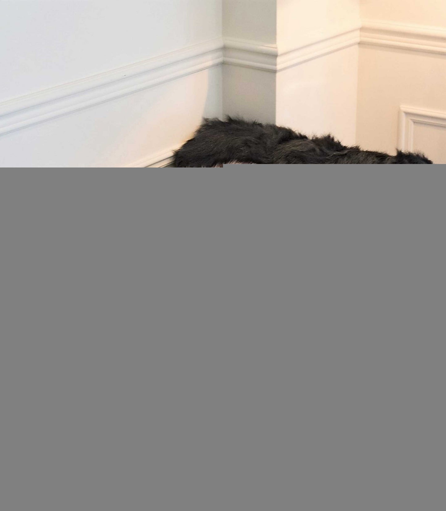 2' X 3' Black Faux Sheepskin Animal Print Washable Area Rug - Image 5
