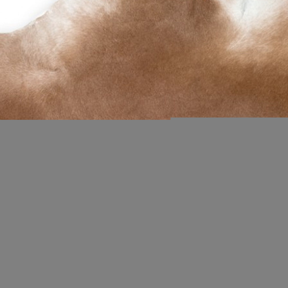 2' X 3' Tan Print Cowhide Area Rug - Image 3