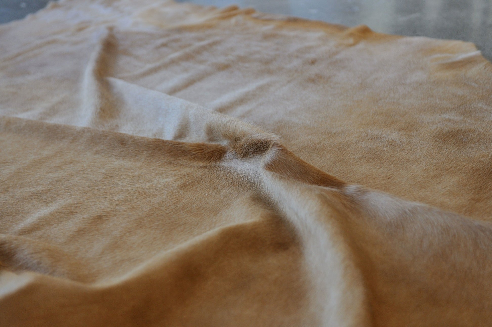 6' X 7' Golden Brown Cowhide Area Rug - Image 4