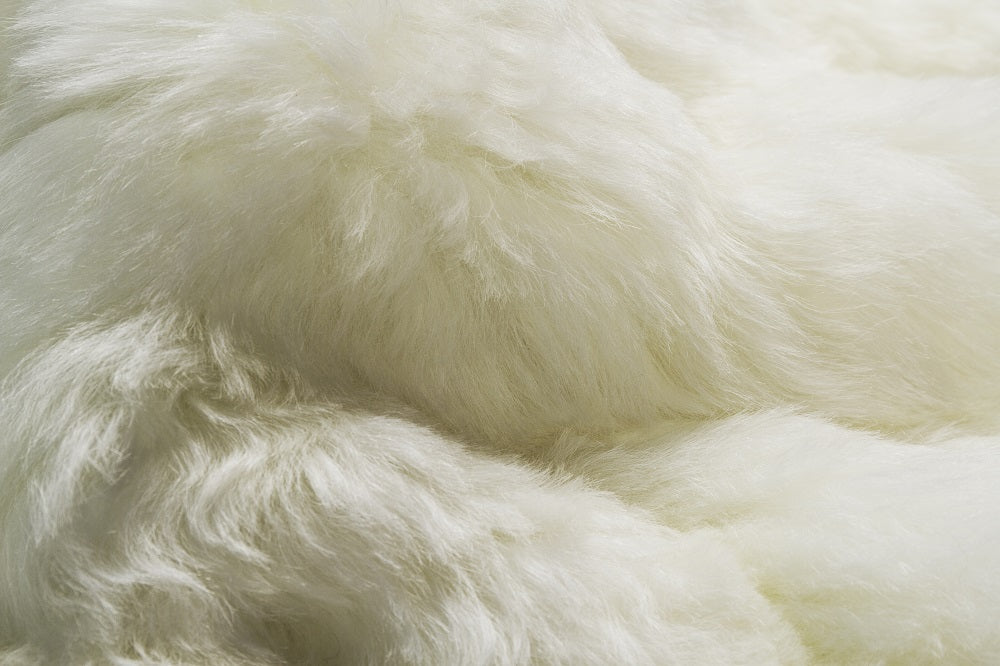 2' X 3' White Animal Print Area Rug - Image 6