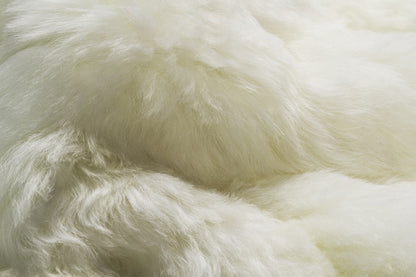 2' X 3' White Animal Print Area Rug - Image 6