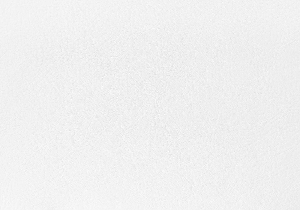 White Faux Leather Queen Bed Frame HomeRoots