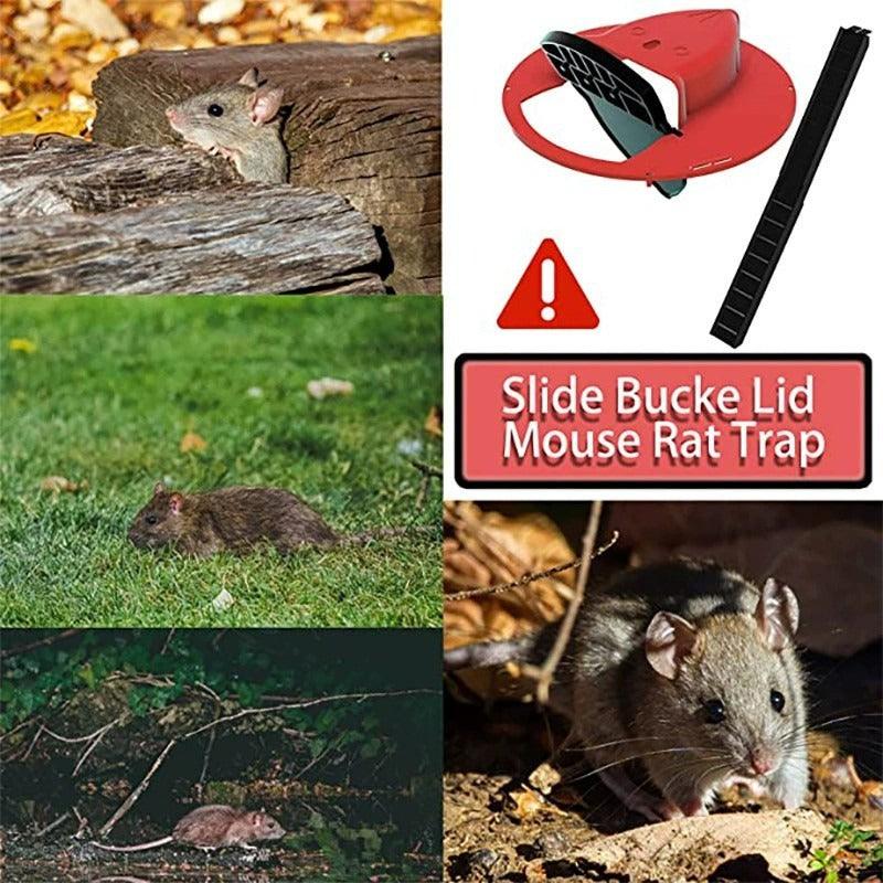 Mice Mouse Trap Bucket Flip Lid,Mouse Trap Bucket Indoor Outdoor,Humane Mouse Trap,Mouse Trap Bucket Lid Auto Reset - FurniFindUSA